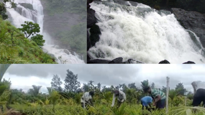 Heavy rain floods in Karnataka's Kodagu, roads collapse, power cut; farmers resume work