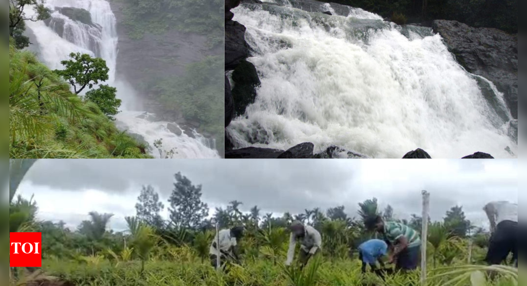 Heavy rain floods in Karnataka's Kodagu, roads collapse, power cut; farmers resume work