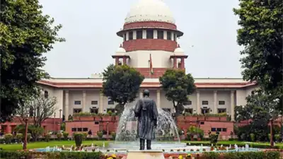 Contempt over toilet, SC asks BMC engineer to explain delay to HC; SC must not interfere in HC-initiated contempt, except in rare cases