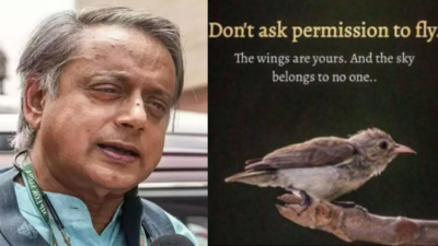  Shashi Tharoor reacts to his cryptic bird post- watch