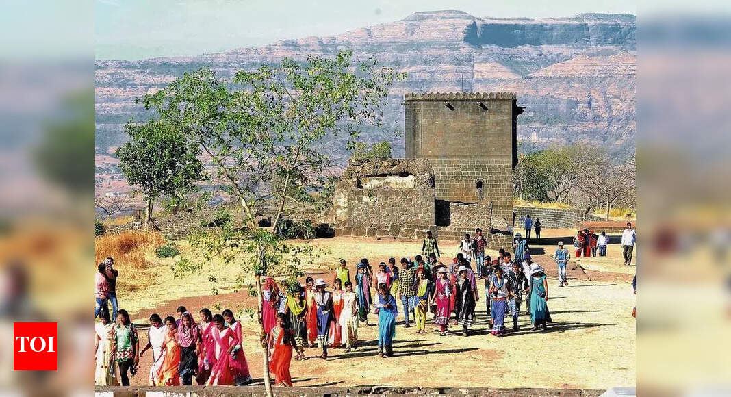 Removal of civilian members from expert panel could hamper Maharashtra ...