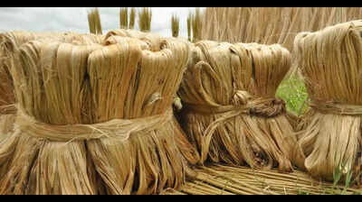 Bengal jute industry frets over import ban through land ports | Kolkata ...