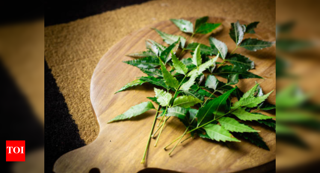 Why neem is the skincare hero you didn’t know you needed – Times of India
