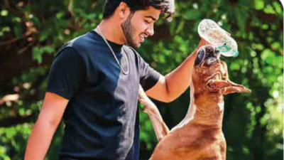 Trained for trouble: Why exotic dogs need ‘paw-sitive’ parenting