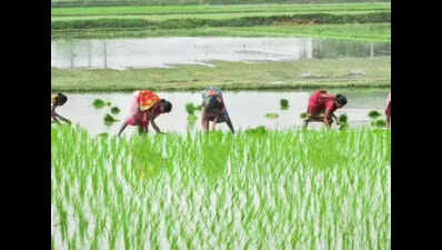 Sahu Nyaya Yatra to help farmers; 800 villages, 2,400 km to be covered in Telangana by October 2
