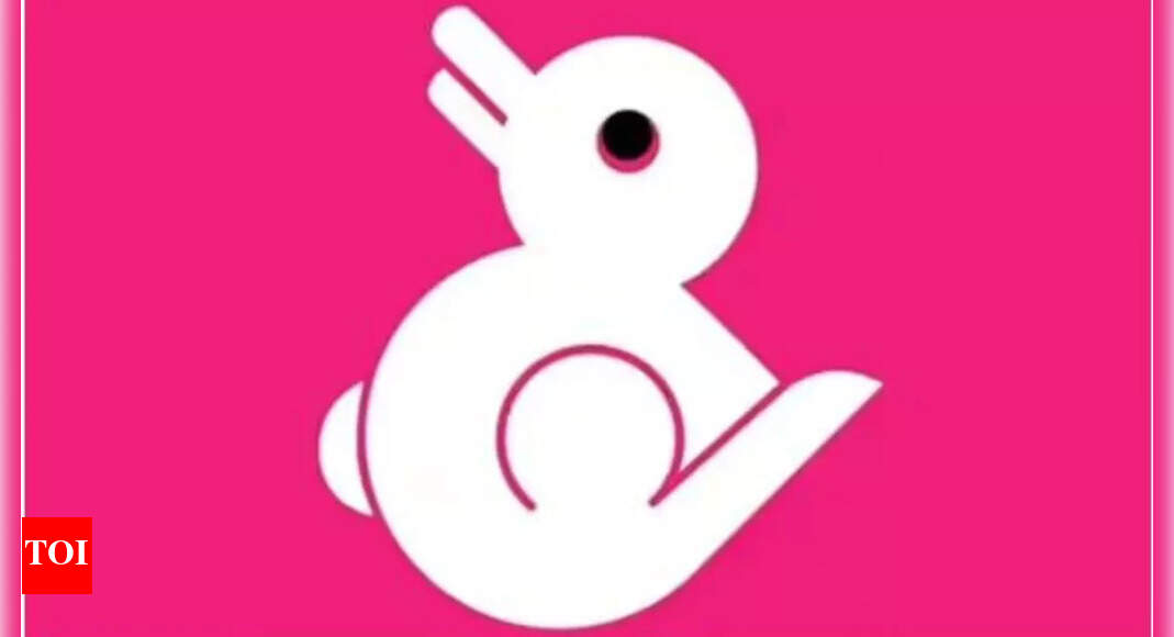 Optical illusion personality test: Duck or rabbit? What you see first reveals if you have a strong sense of self or are light-hearted – Times of India