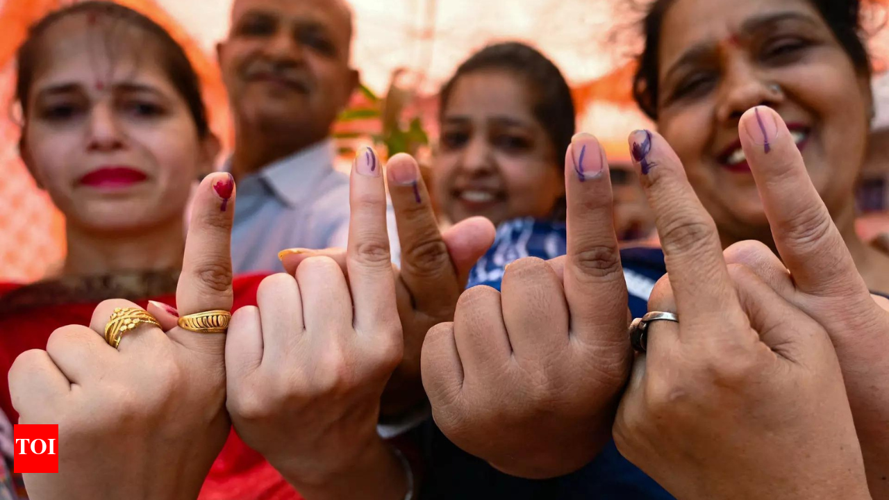 Bihar voter list row: Why EC's special revision is facing political heat -  explained | India News - Times of India