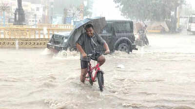 Monsoon reaches western Raj, now covers entire state