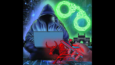 Unemployed youth losing money in online task-based jobs, investment scams: Police