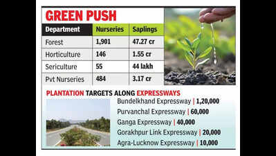 Van Mahotsav: UP to plant over 35cr saplings in July first week ...