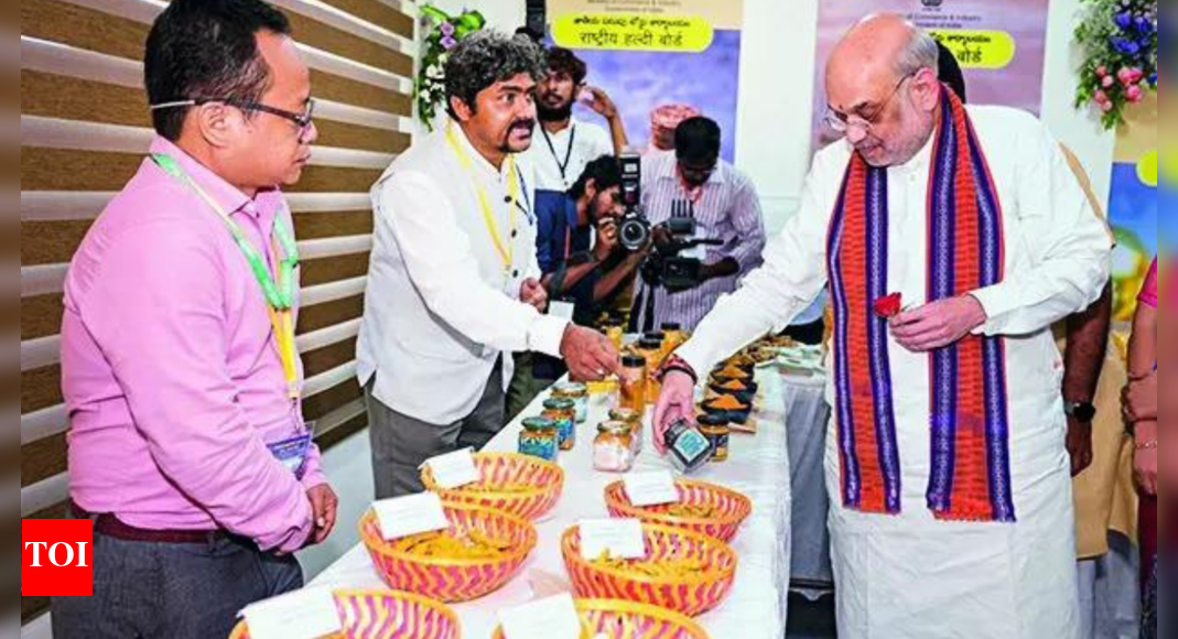 ‘Drop guns & join mainstream’: Amit Shah rules out talks with Reds