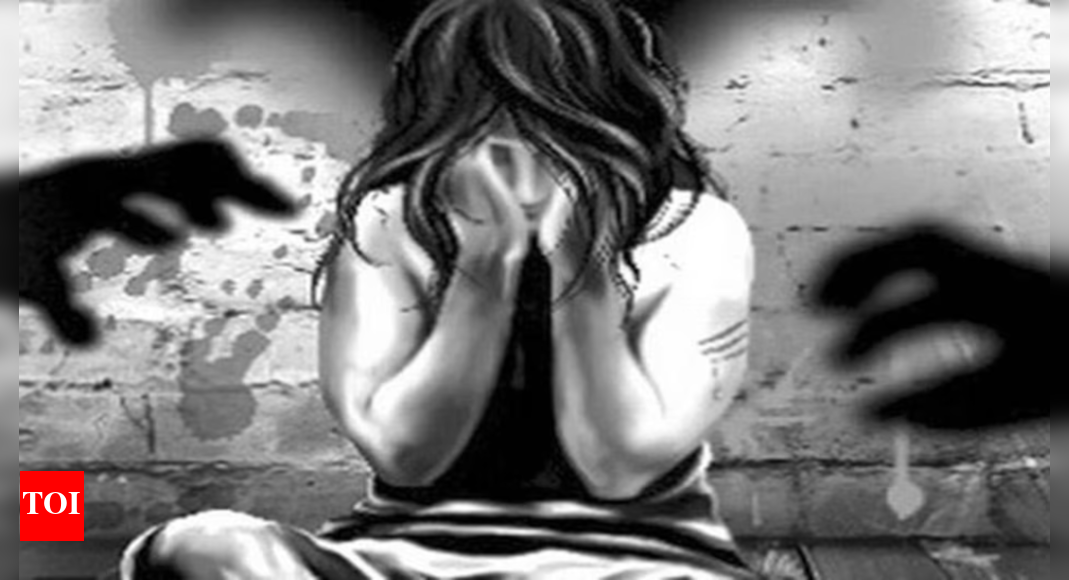 Cops alone can't stop rapes, says MP DGP, blames obscene content