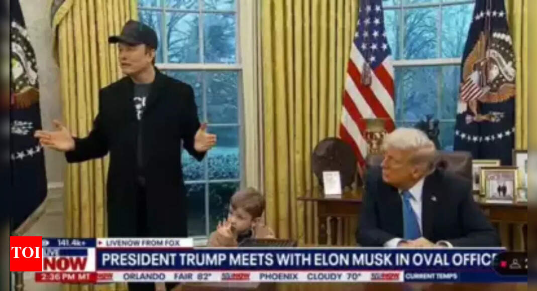 'He got little upset': Donald Trump downplays Elon Musk's outbursts on 'big bill'; calls him 'wonderful guy'