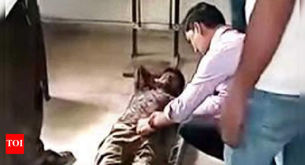 No stretcher at Bijnor CHC: Injured sanitation worker made to lie on floor for X-ray