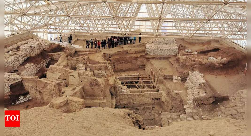 Catalhoyuk: 9,000-year-old city ruled by women, DNA reveals story of matriarchal civilization