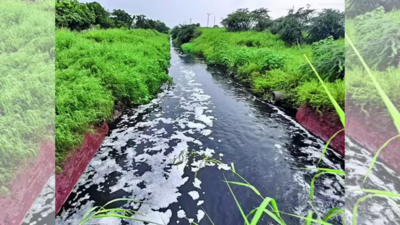 STP defunct, drain with filth empties out into Kasna canal, Hindon