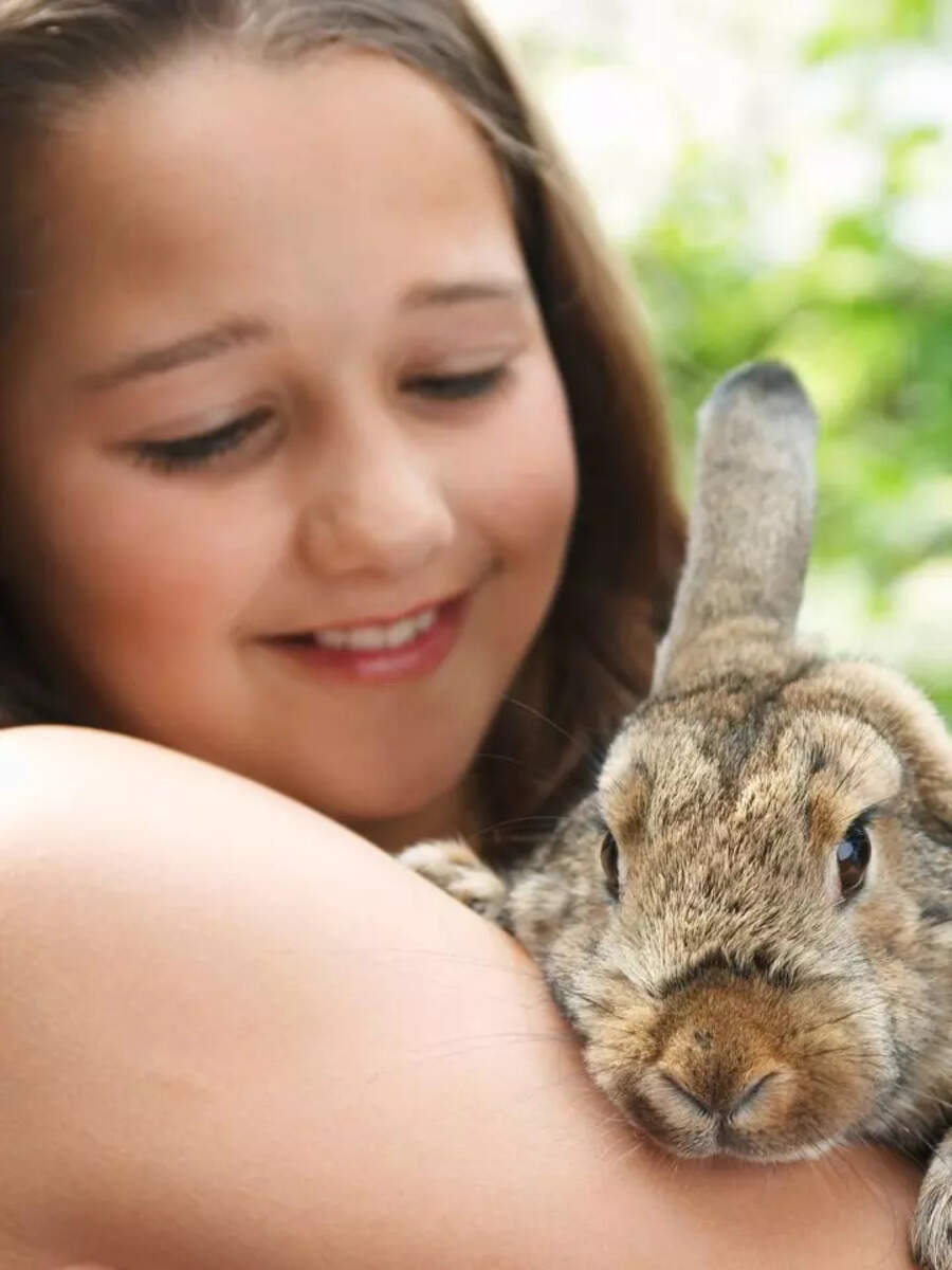 10 things to know before getting a pet rabbit: Care tips