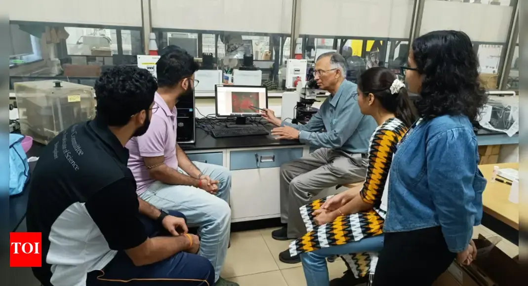 IISc team creates glowing sensor for liver cancer detection