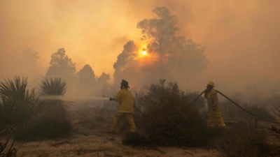 High winds hamper fight against wildfire in west Turkey