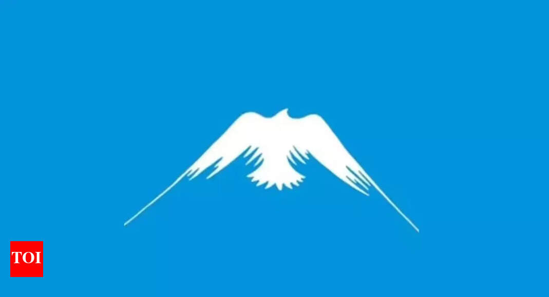 Optical Illusion personality test: Eagle or mountain? What you see first reveals if you are charismatic or hard-working | – Times of India