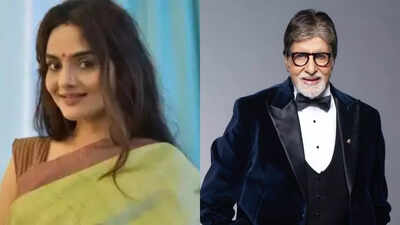 Madhoo reacts to why she turned down a film with Amitabh Bachchan and moved to South India: 'It felt odd to return to projects that lacked sincerity'