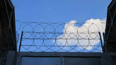 The shocking reason why Florida's detention centre is facing resistance from environmentalists
