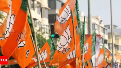 BJP new chief likely by mid-July with state units nearly in place