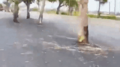 State highway or obstacle course? Bihar’s Rs 100-crore road widened around trees; Patna-Gaya route turns risky - watch