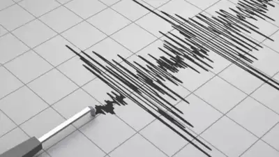  Minor quake jolts northern California; no immediate damage reported