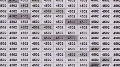 ஆப்டிகல் மாயை: 4502 களின் மத்தியில் மறைக்கப்பட்ட 4052 ஐக் கண்டறியவும்