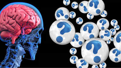 These evening foods and drinks could harm your brain health and increase Alzheimer's risk