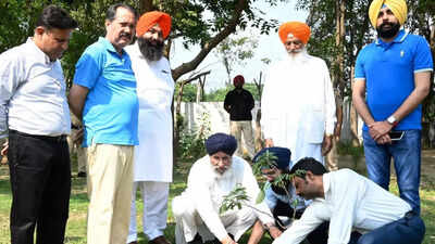 Akali Dal split spurs double tree plantation drive in Punjab