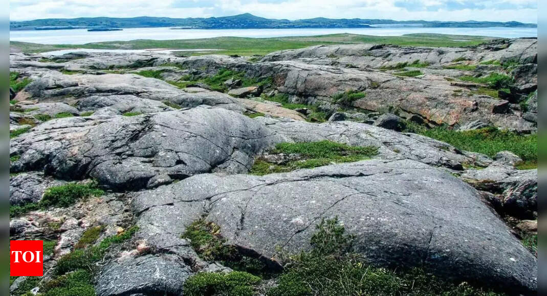 Scientists discover oldest rocks on Earth, over 4.16 billion years old |