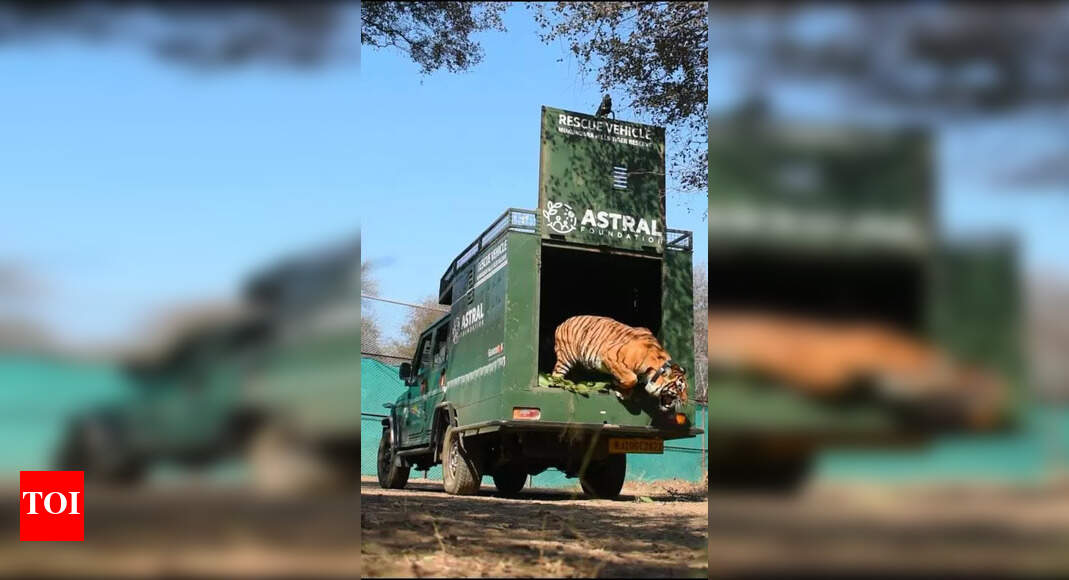 The Times of India - Other - News Image