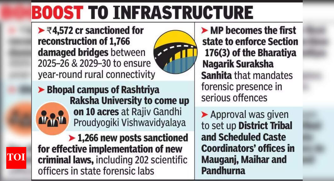 Cabinet clears Vrindavan Gram scheme, Rs 4k-cr bridge rebuild plan | Bhopal News - Times of India