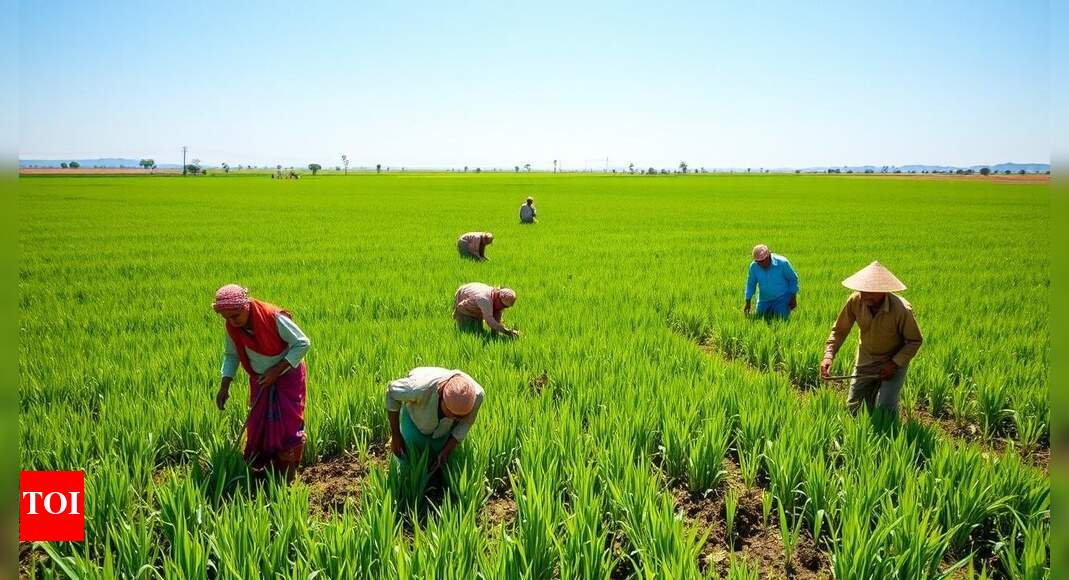 Kharif sowing rises over 11%, monsoon gains pace; bodes well for food inflation: Report