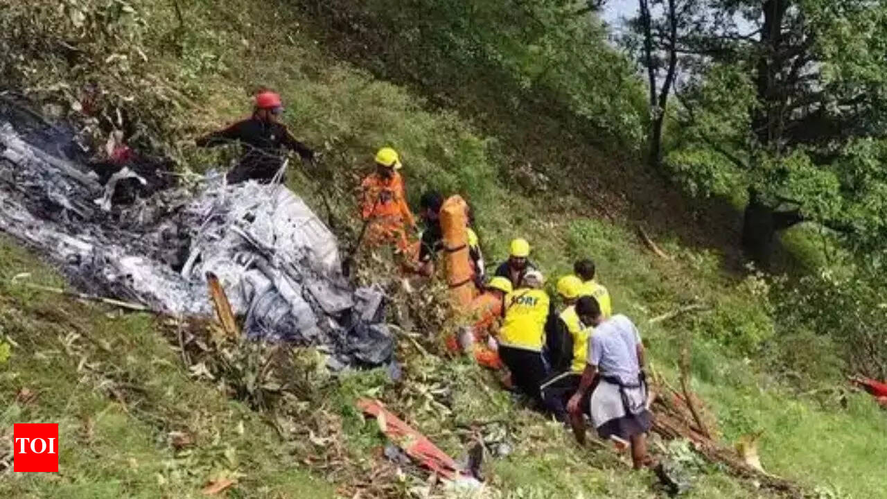 Mika de la fuente poringa