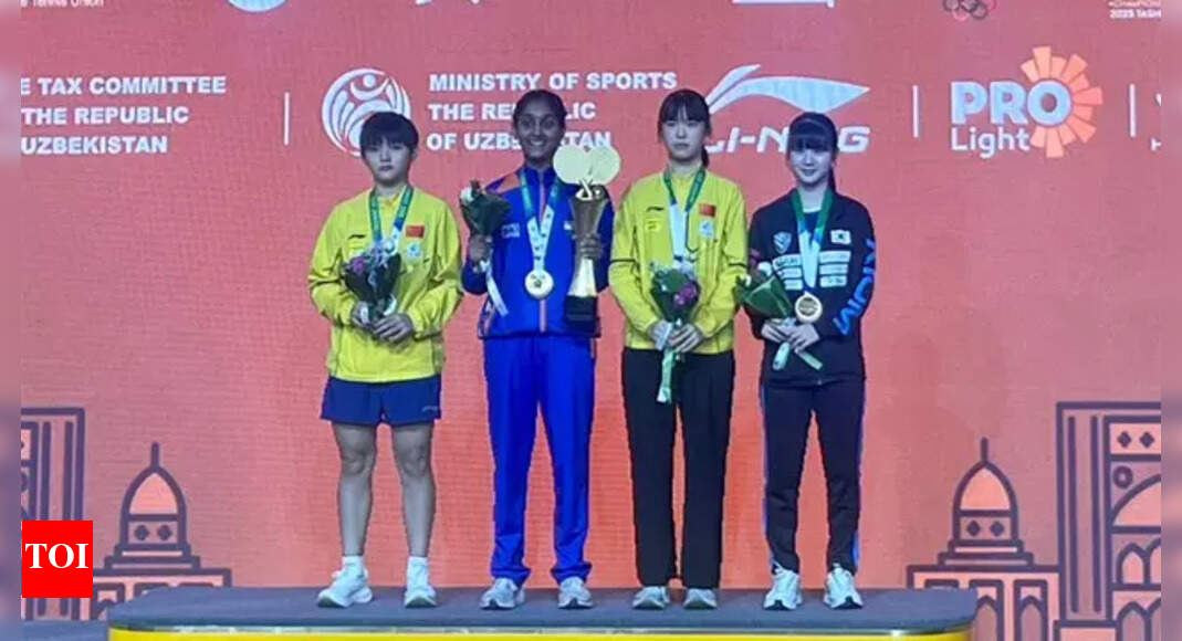 The Times of India - Business - News Image