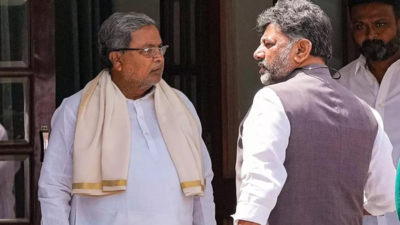 Congress 'unity show' flatlines? DK Shivakumar backs Siddaramaiah; cites 'no option'