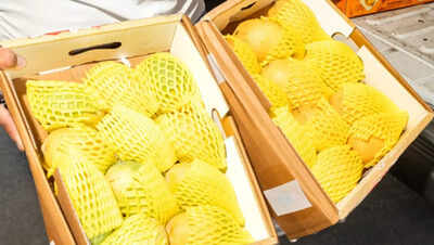 Why is UAE becoming one of the biggest markets for Indian mangoes?