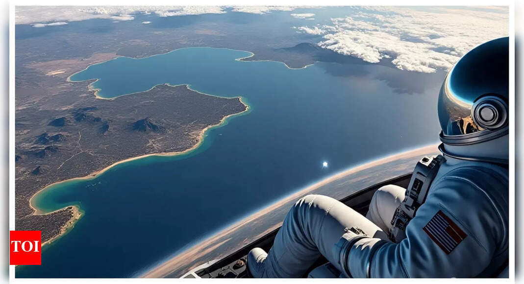 Indian-origin astronauts who took to space: Where did they study from