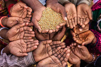 India is the largest producer of these 7 popular foods