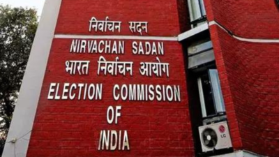 Bihar rolls revision could snatch votes of 'tens of lakhs', INDIA bloc tells EC