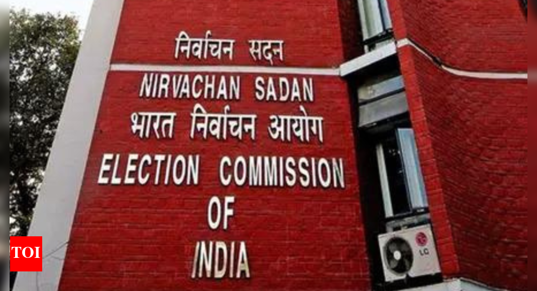 Bihar rolls revision could snatch votes of 'tens of lakhs', INDIA bloc tells EC