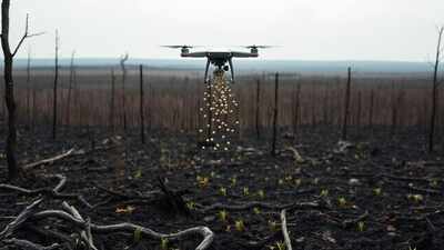 Canada turns to drones for reforestation after wildfires