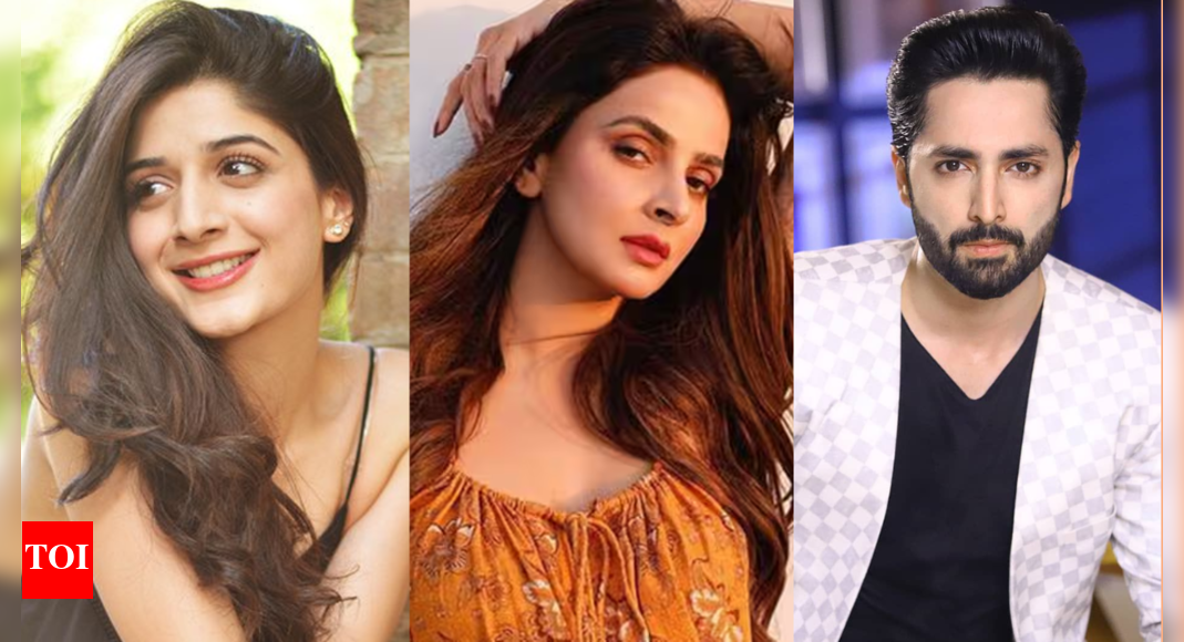 Pakistani actors' social media accounts banned again