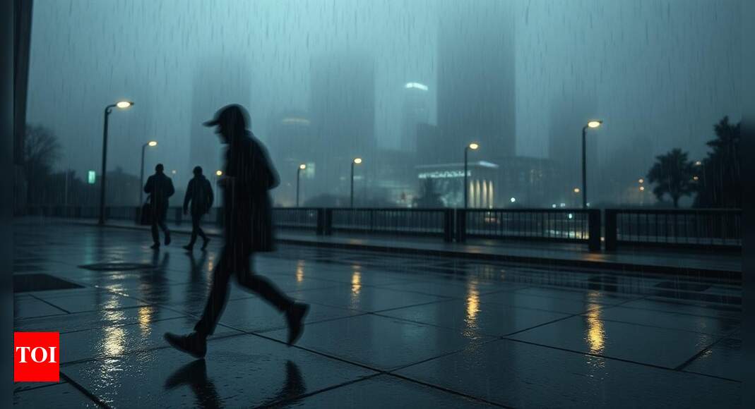 Rain caused natural disasters in 83% of Brazil's cities: report