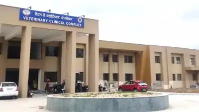  Punjab Council cancels registrations over college recognition issue