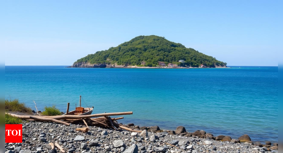 'Always shaking': Over 900 quakes jolt Tokara Islands within two weeks; no major damage reported