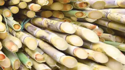 Sugar sector milestone: Industry hits Rs 1.3 lakh crore mark; Union minister Pralhad Joshi says growth fuels rural prosperity & energy security